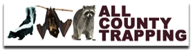 Deerfield Beach Animal Control In Broward County