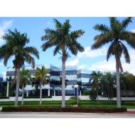 Diamond Cuts Pompano Beach Commercial Landscaping.